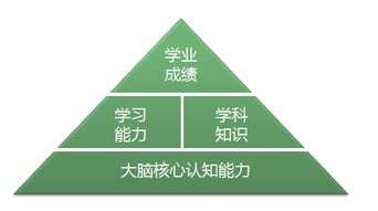筑夢前行 視友科技以環境科技開拓全腦培育新領域，助力幼兒智慧教育